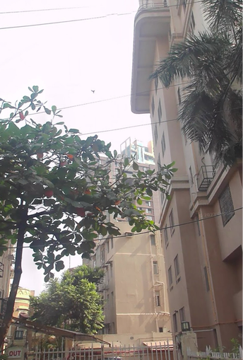 3 BHK Apartment For Resale in Spenta Tower Tardeo Mumbai 6066526