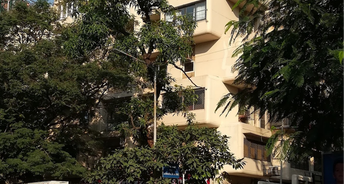 3 BHK Apartment For Resale in Tardeo Mumbai 6066579