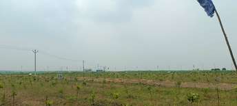  Plot For Resale in Narayankhed Hyderabad 6066946