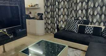 4 BHK Apartment For Rent in Amrapali Eden Park Sector 50 Noida 6067099
