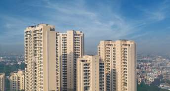 3.5 BHK Apartment For Rent in Ambience Tiverton Sector 50 Noida 6067195