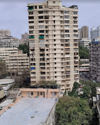 2 BHK Apartment For Resale in Napeansea Road Mumbai 6067563