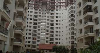 3 BHK Apartment For Rent in Prestige Notting Hill Bannerghatta Road Bangalore 6068207