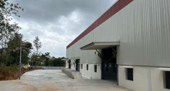 Commercial Warehouse 12000 Sq.Ft. For Rent In Kumbalgodu Bangalore 6068126