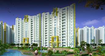 5 BHK Apartment For Rent in Parsvnath Exotica Sector 53 Gurgaon 6068294