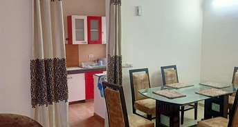 3 BHK Apartment For Rent in Gomti Nagar Lucknow 6068513