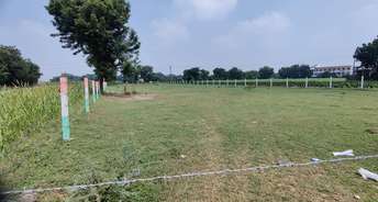 Commercial Land 1200 Sq.Yd. For Resale In Sindhubhavan Ahmedabad 6069534