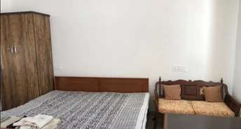 1 BHK Independent House For Rent in Sector 11 Panchkula 6069657