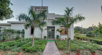 4 BHK Independent House For Resale in Ramgarh Ludhiana 6069704