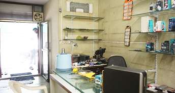 Commercial Shop 720 Sq.Ft. For Resale In Usmanpura Ahmedabad 6071022