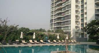 2 BHK Apartment For Rent in Ireo The Grand Arch Sector 58 Gurgaon 6071107