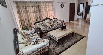 2 BHK Apartment For Rent in Purvanchal Heights Gn Sector Zeta I Greater Noida 6072722