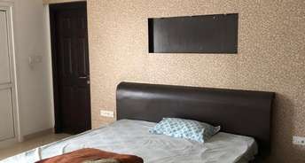 2 BHK Apartment For Rent in Sobha Chrysanthemum Thanisandra Bangalore 6072778