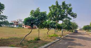  Plot For Resale in North Mullanpur Chandigarh 6072927