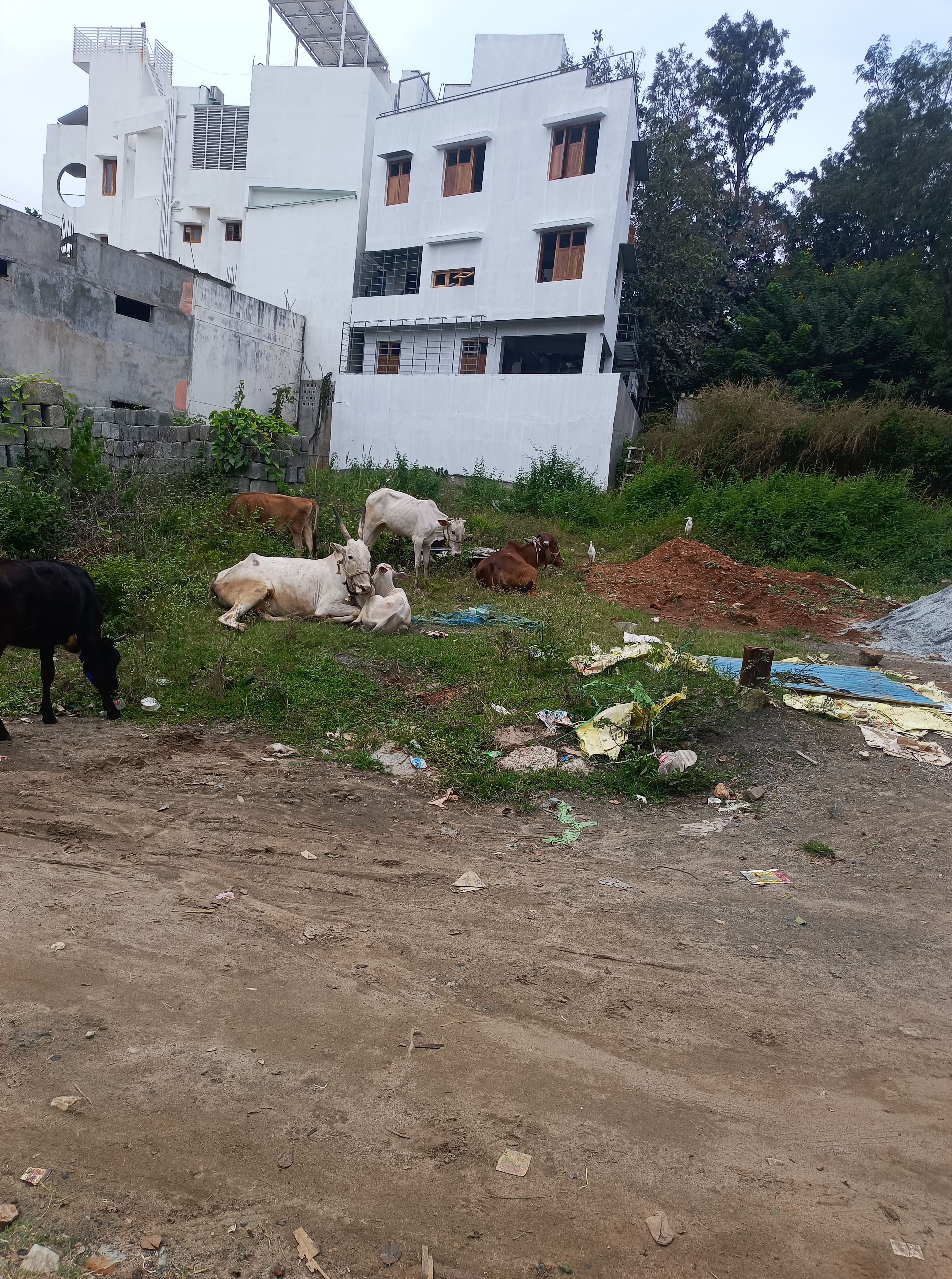 2622+ Property for Sale Near Gubbalala Government School