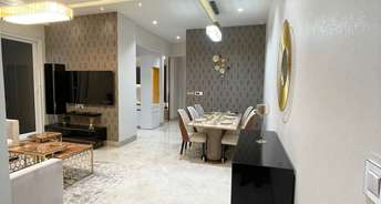 4 BHK Apartment For Rent in Trishla City Patiala Road Zirakpur 6073047