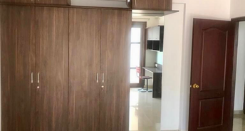 3 BHK Apartment For Rent in Cunningham Road Bangalore 6073180