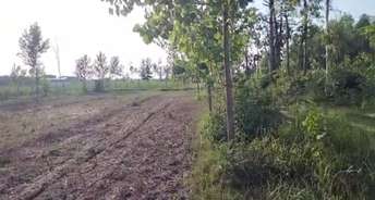 Commercial Land 3000 Sq.Mt. For Resale In Bharat Colony Haridwar 6073198