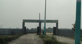  Plot For Resale in Tappal  Greater Noida 6073317