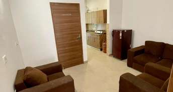1 BHK Builder Floor For Rent in Ansal Sushant Lok I Sector 43 Gurgaon 6074126