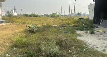  Plot For Resale in Rohini Sector 37 Delhi 6030800