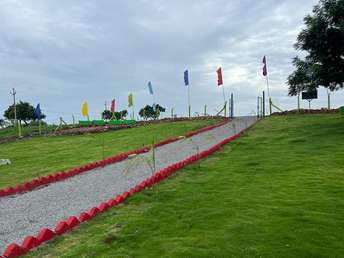  Plot For Resale in Narayankhed Hyderabad 6075028