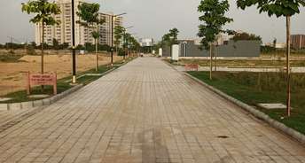  Plot For Resale in Sweta Central Park III Plots Sohna Sector 33 Gurgaon 6075555