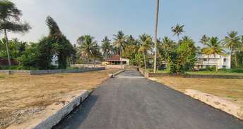 Plot For Resale in Udayamperoor Kochi 6075697
