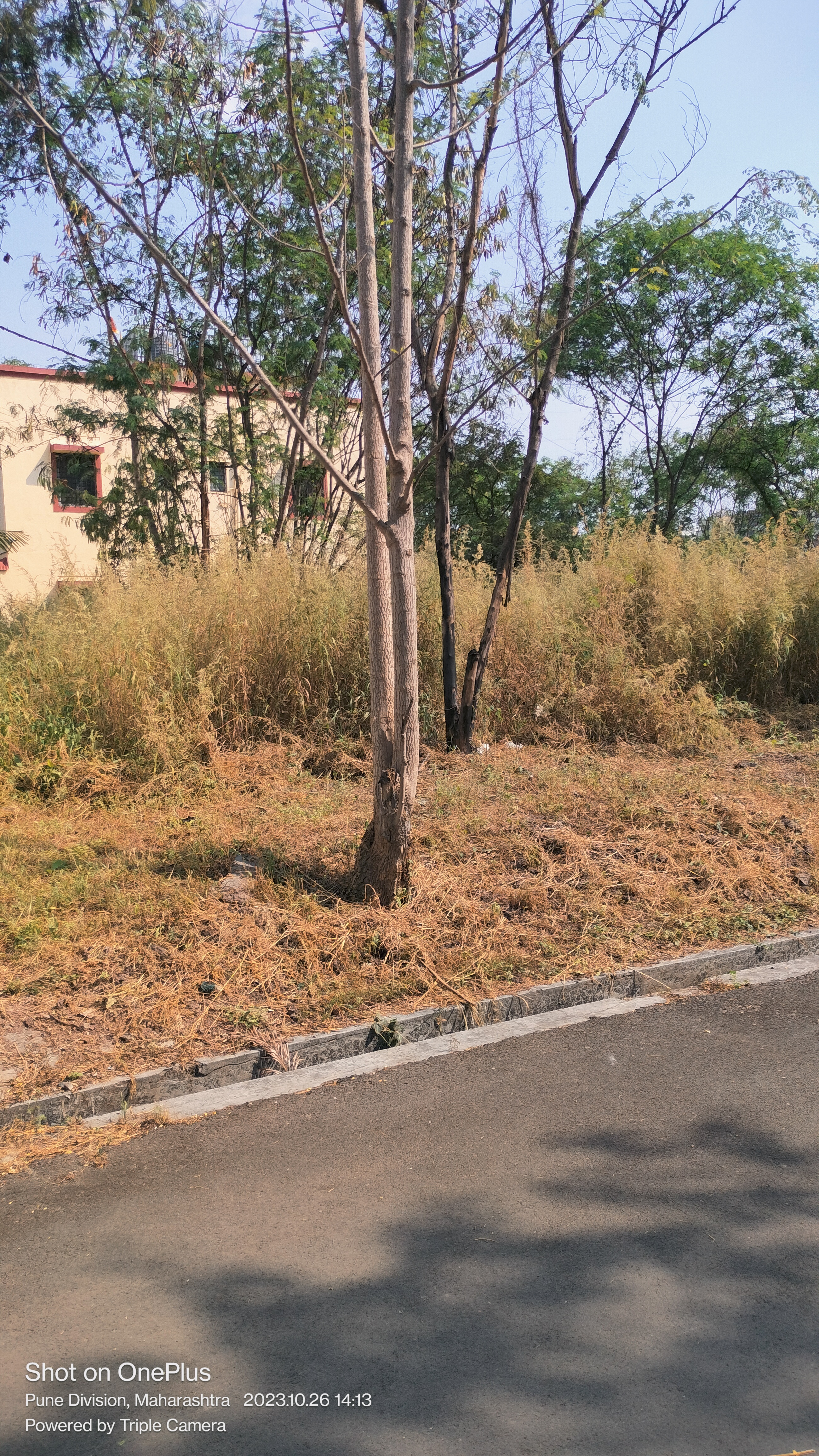 Resale 3000 Sq.Yd. Plot in Border Road Housing Society, Dhanori Pune