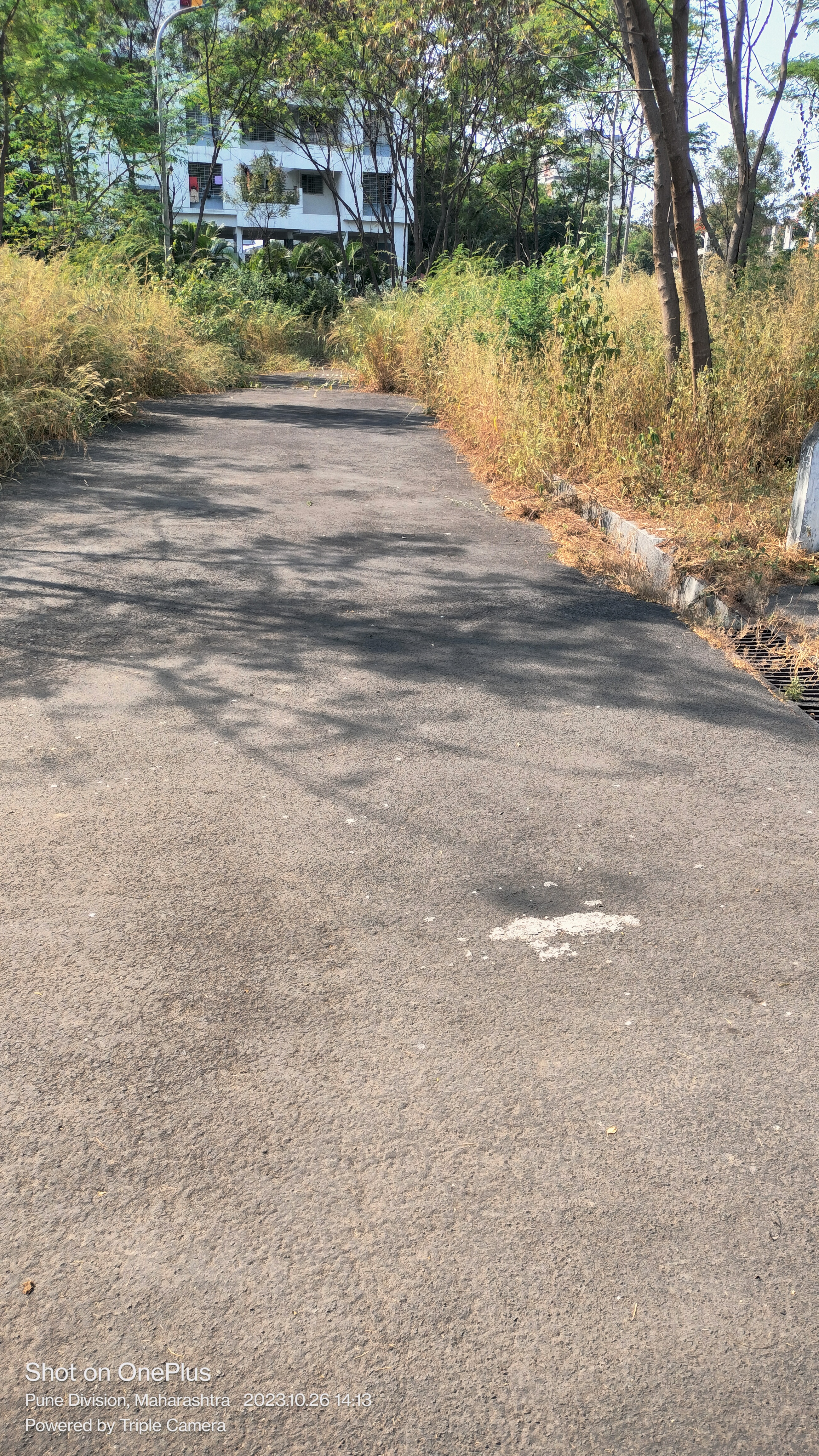 Resale 3000 Sq.Yd. Plot in Border Road Housing Society, Dhanori Pune