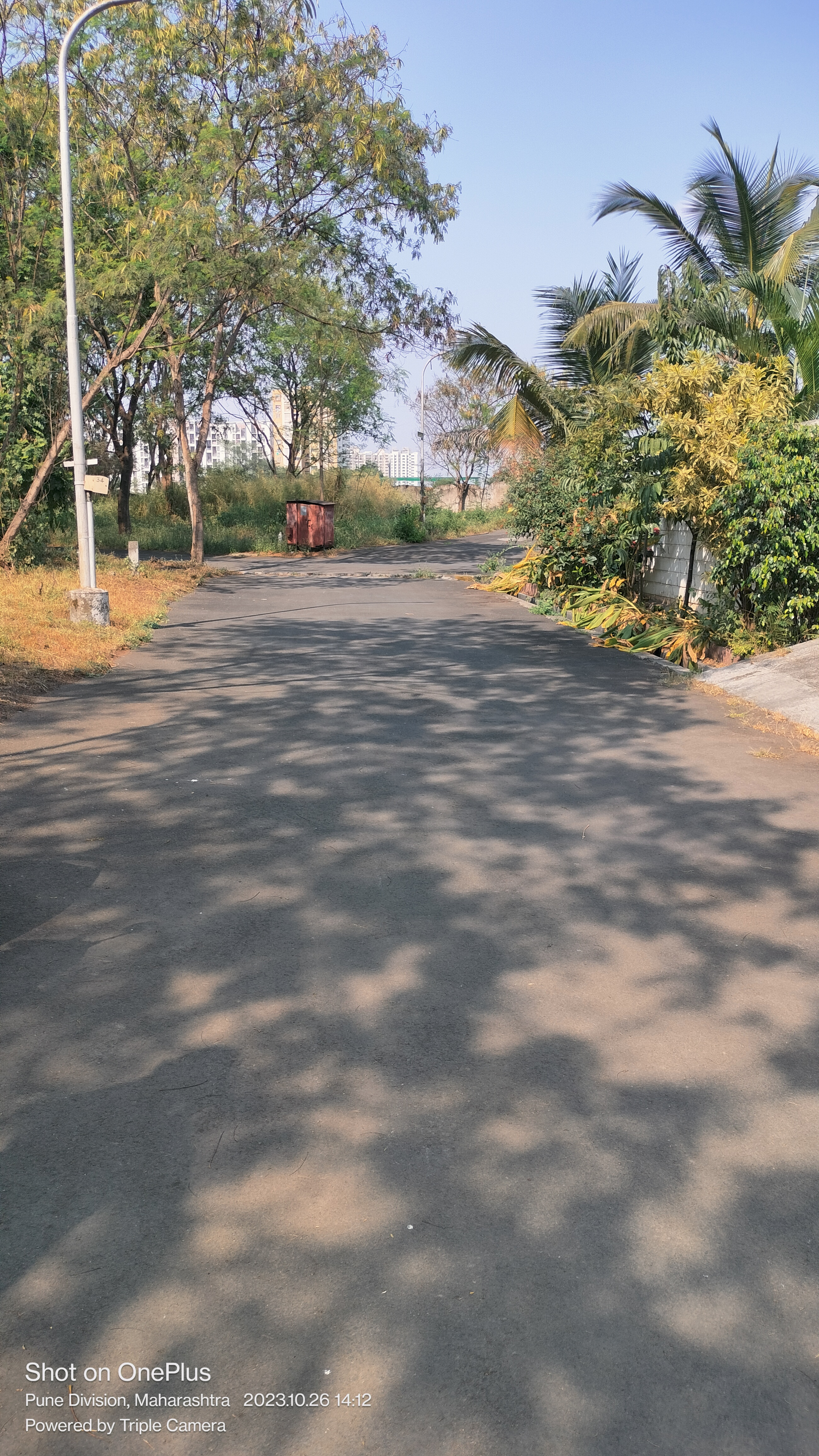 Resale 3000 Sq.Yd. Plot in Border Road Housing Society, Dhanori Pune