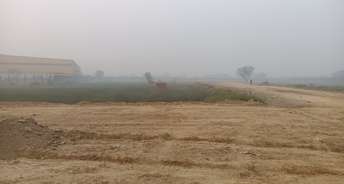  Plot For Resale in Tappal  Greater Noida 6076357