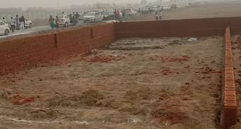  Plot For Resale in Tappal  Greater Noida 6076417