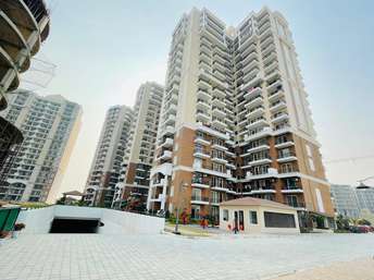 3 BHK Apartment For Resale in North Mullanpur Chandigarh 6077300