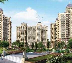 2 BHK Apartment For Resale in Ambika Florence Park North Mullanpur Chandigarh  6077313