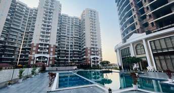 5 BHK Apartment For Resale in Ambika Florence Park North Mullanpur Chandigarh 6077389