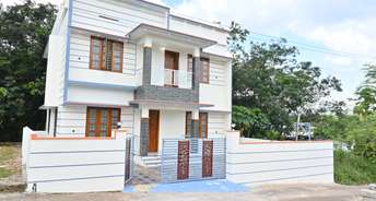 3 BHK Independent House For Resale in Thiruvananthapuram Airport Thiruvananthapuram 6077700