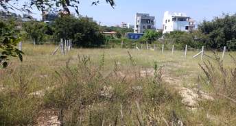  Plot For Resale in Bsk 2nd Stage Bangalore 6078368