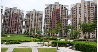 3 BHK Apartment For Rent in Unitech The Close South Sector 50 Gurgaon 6078374