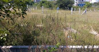  Plot For Resale in Bsk 2nd Stage Bangalore 6078428