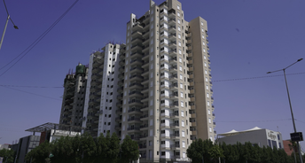 3 BHK Apartment For Resale in Adarsh Nagar Hisar 6078886