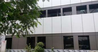 Commercial Showroom 5100 Sq.Ft. For Rent In Mathura Road Faridabad 6078921
