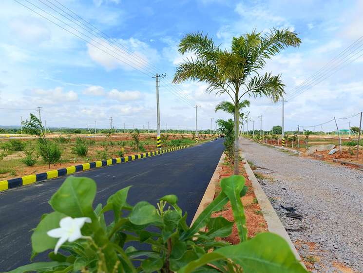 Plots For Sale In Hyderabad Pharmacity