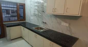3 BHK Apartment For Rent in Sector 49 Chandigarh 6080952
