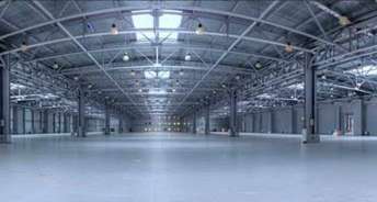 Commercial Warehouse 18000 Sq.Ft. For Rent In Faizabad Road Lucknow 6081135