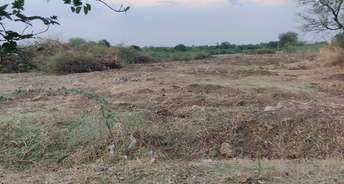 Commercial Land 2 Acre For Rent In Banjara Nagar Bijapur 6081743