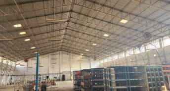 Commercial Warehouse 28000 Sq.Ft. For Rent In Ecotech Iii Greater Noida 6081989