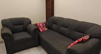 1 BHK Apartment For Rent in Model Town Ludhiana 6082390
