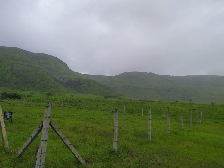 undefined, kamshet  3000 Sq.Yd. Plot In Kamshet Pune 6083937
