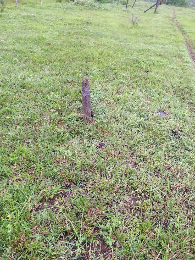 Garden, kamshet  3000 Sq.Yd. Plot In Kamshet Pune 6083937